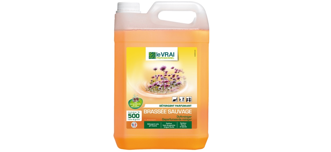 Vente et location de ponceuse à parquet et de monobrosse Aix-en-Provence PACA