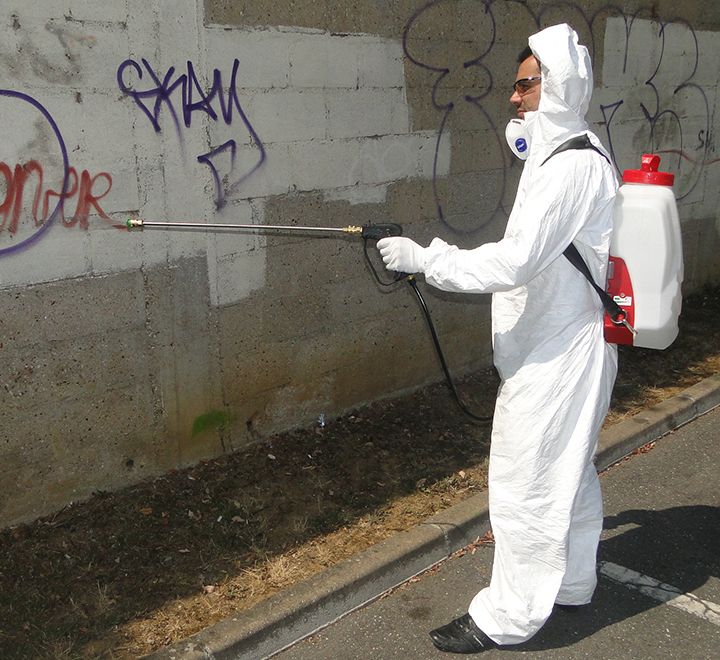 Pulvérisateur Dorsal Sprayer Electrique