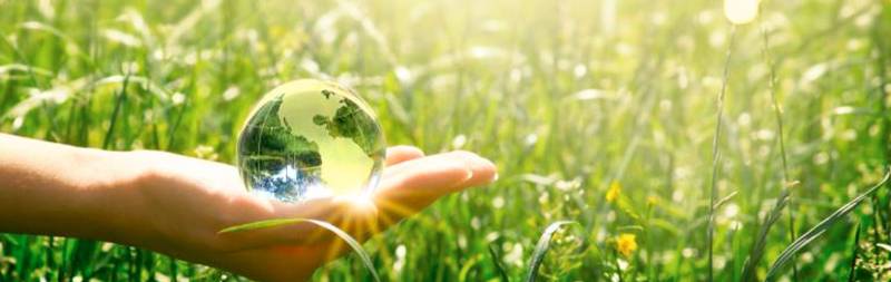 Probiotique à La Ciotat